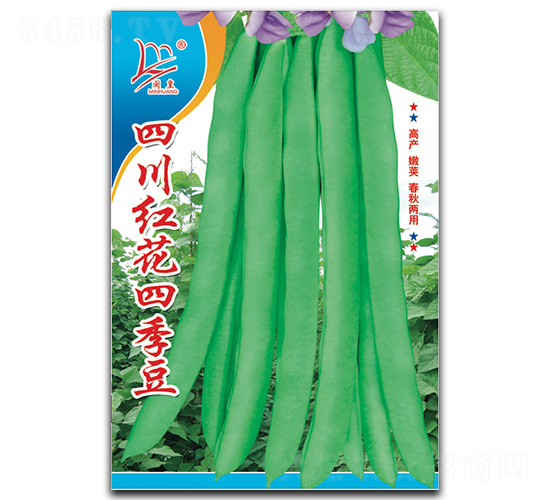 �Ĵ��컨�ļ���-�ļ�������-������ҵ