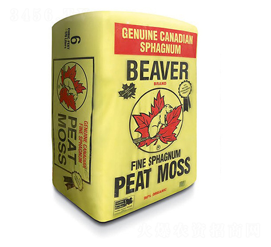 Beaver-�ָ���