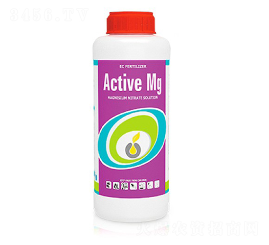 Active-Mg-�ָ���