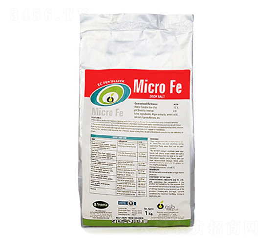 Micro-Fe-�ָ���
