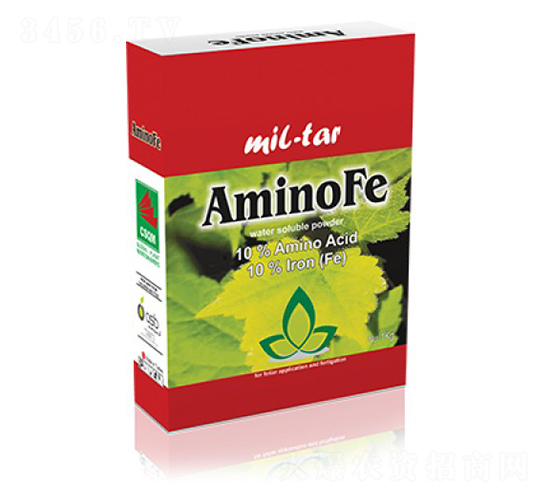 Amino-Fe-�ָ���