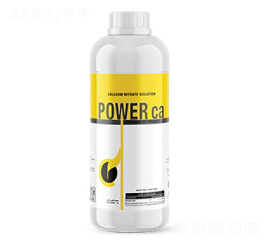 Power-ca-�ָ���