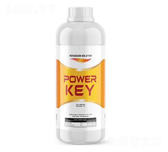 Power-Key-�ָ���