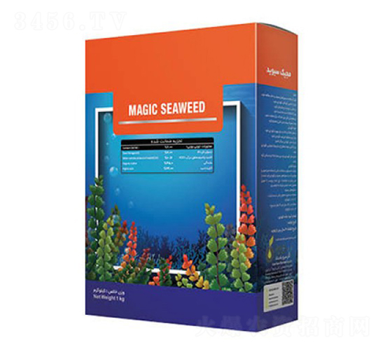 Magic-Seaweed-�ָ���