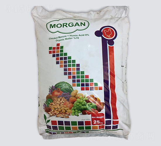 Morgan-��������-�ָ���
