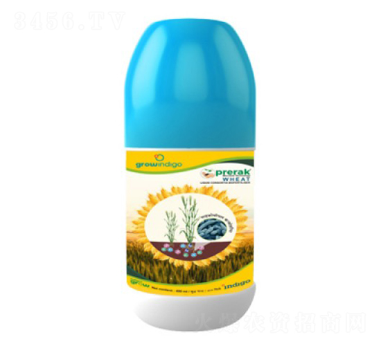 Prerak-Wheat-�ָ���