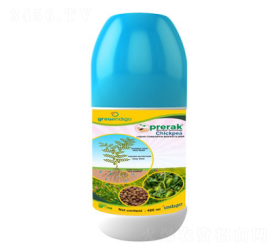 Prerak-chickpea-�ָ���