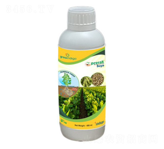 Prerak-Soya-�ָ���