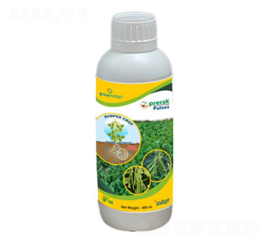 Prerak-Pulses-�ָ���