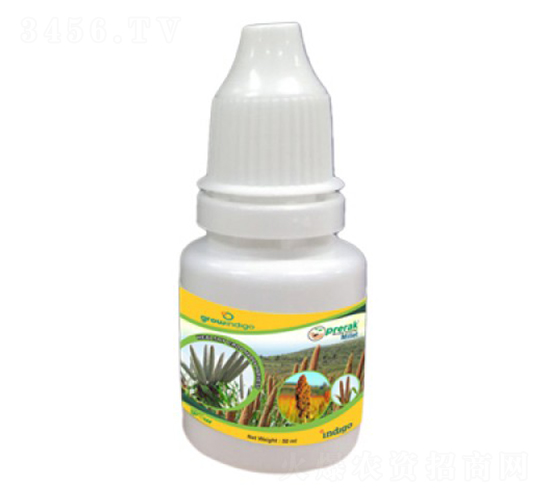 Prerak-Millet-�ָ���