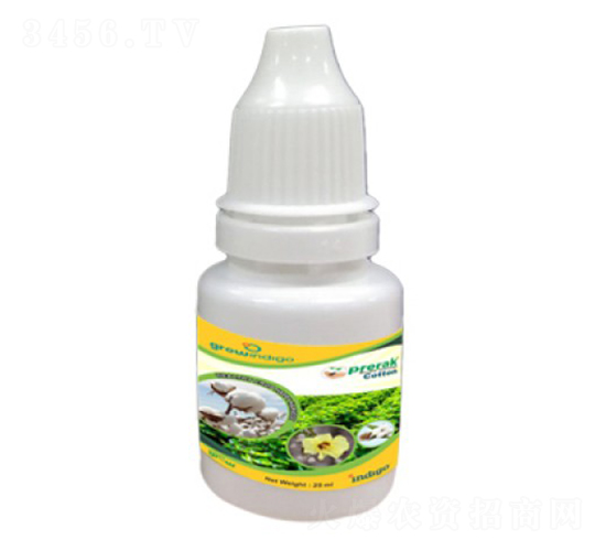 Prerak-Cotton-�ָ���