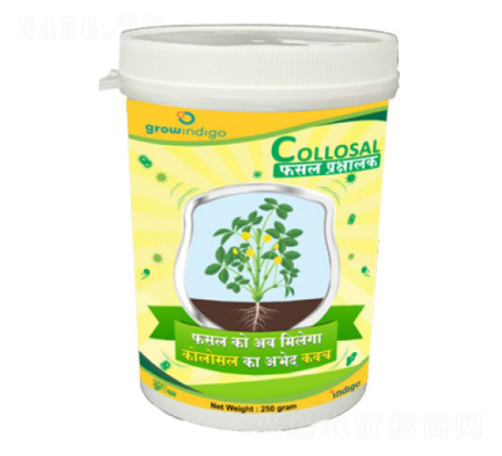 Collosal-�ָ���