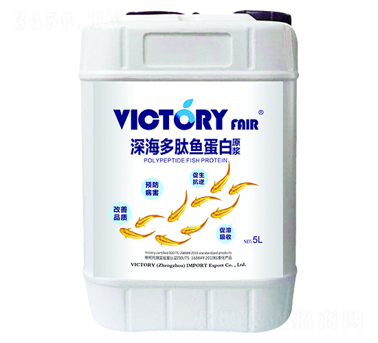 ������㵰��ԭ��-ά������
