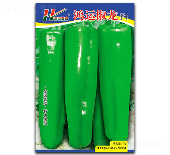 ���˽���-����ݽ�����-��̩