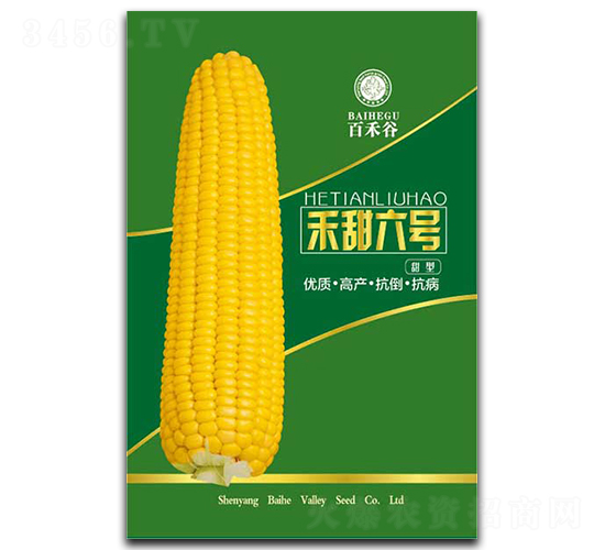 ��������-Ŵ��������-�ٺ̹�