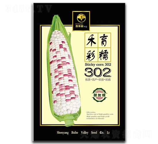 �����Ŵ302-Ŵ��������-�ٺ̹�