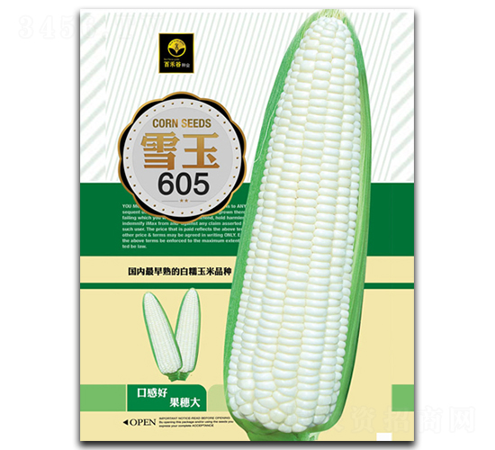 ѩ��605-Ŵ��������-�ٺ̹�