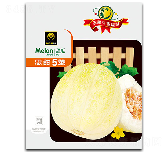 ˼��5��-�������-�ٺ̹�