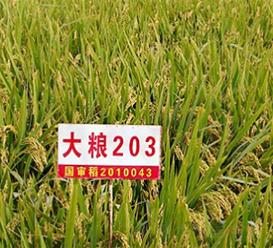 ����203-ˮ������-������ҵ