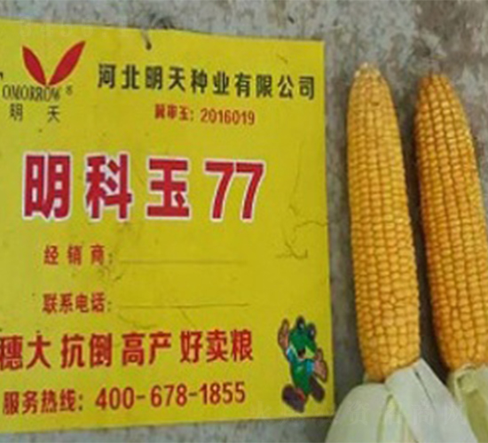 ������77-��������-������ҵ