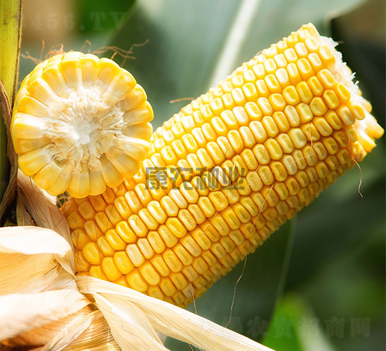 ��ũ��108-��������-��ũ��ҵ