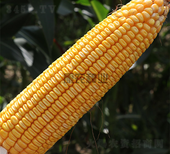 ��ũ��508-��������-��ũ��ҵ