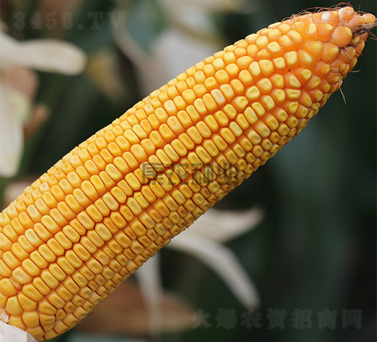 �߿�183-��������-��ũ��ҵ