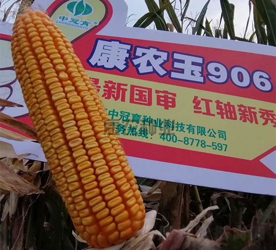 ��ũ��906-��������-��ũ��ҵ