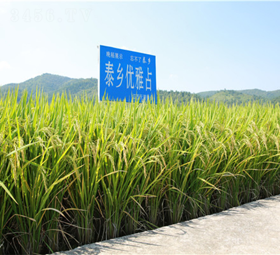 ̩������ռ-ˮ������-������ҵ