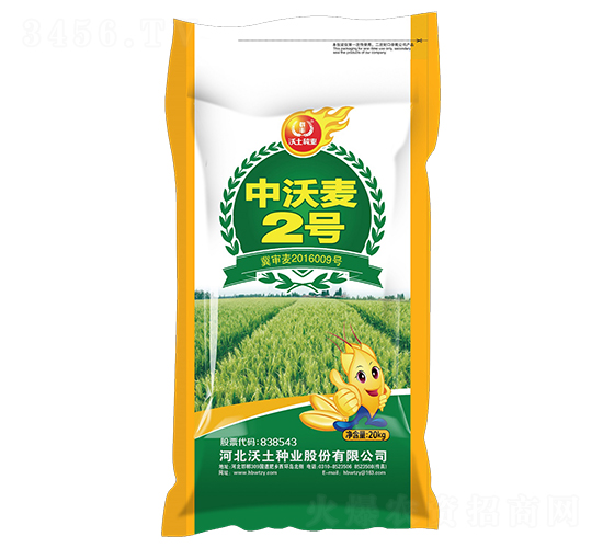 ������2��-С������-������ҵ