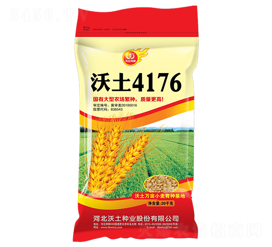 ����4176-С������-������ҵ
