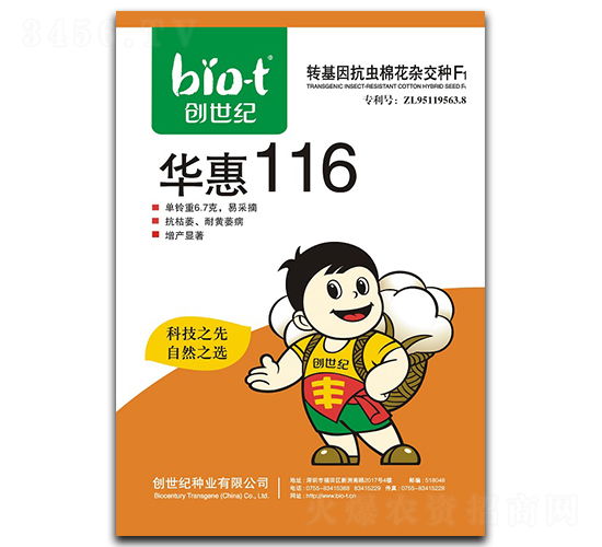 ����116-�޻�����-������
