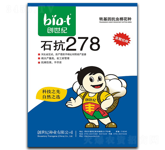 ʯ��278-�޻�����-������