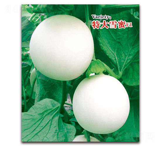 �ش�ѩ��-��Ƥ�������-�ⴴũҵ