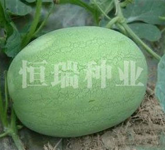 �ʹ���-��������-������ҵ