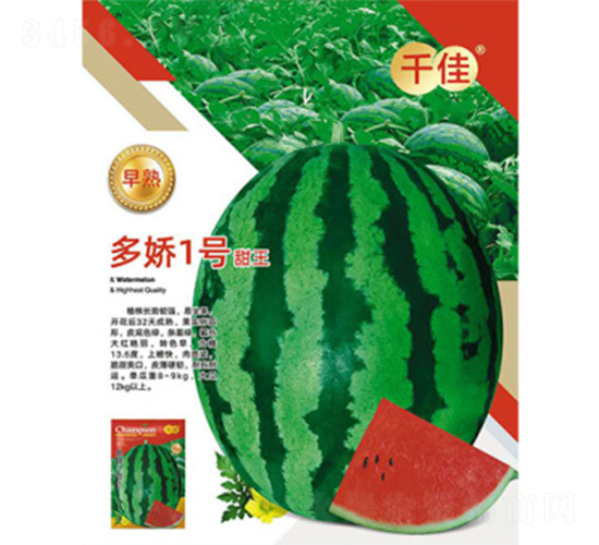�ཿһ������-��������-������ҵ