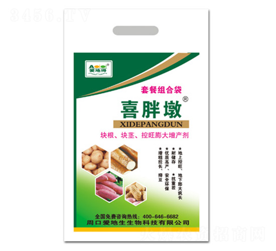 ���龥���������-ϲ�ֶ�-������