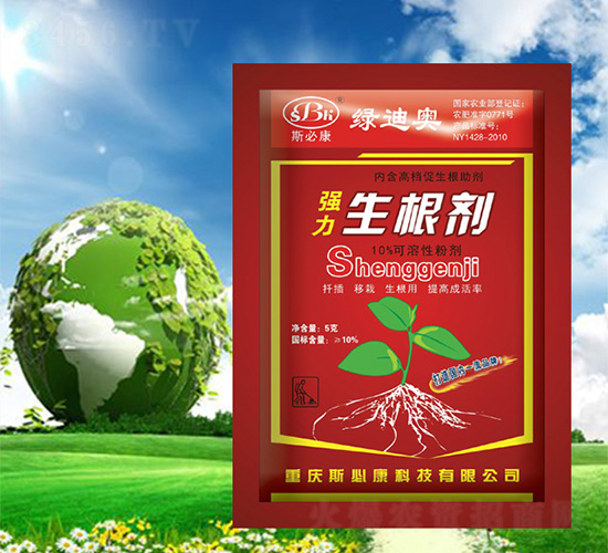 ǿ�����������죩-�̵ϰ�-˹�ؿ�