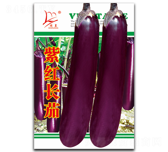 �Ϻ쳤��1-��������-������ҵ