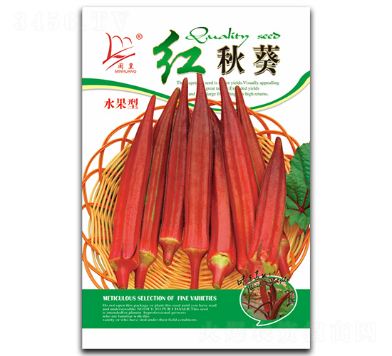 �����-�������-������ҵ