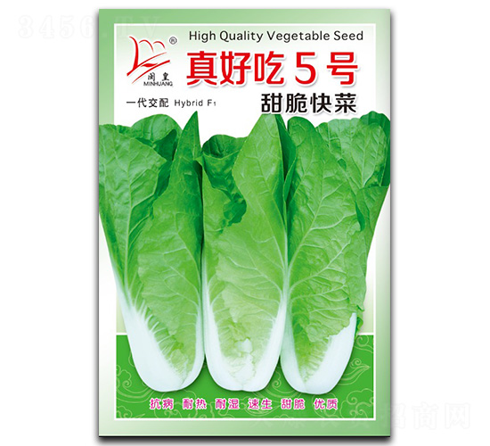 ��ó�5��-�������-������ҵ