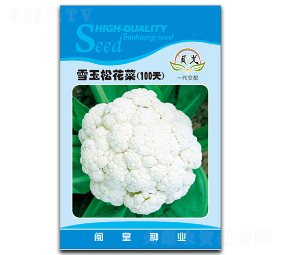 ѩ���ɻ���100��-�ɻ�������-������ҵ