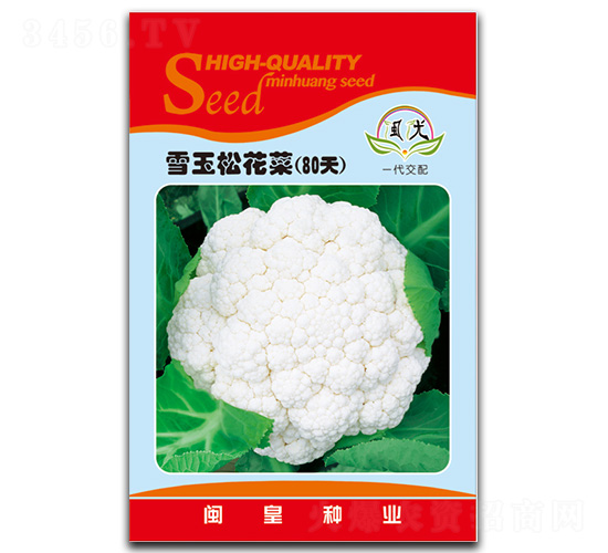 ѩ���ɻ���80��-�ɻ�������-������ҵ