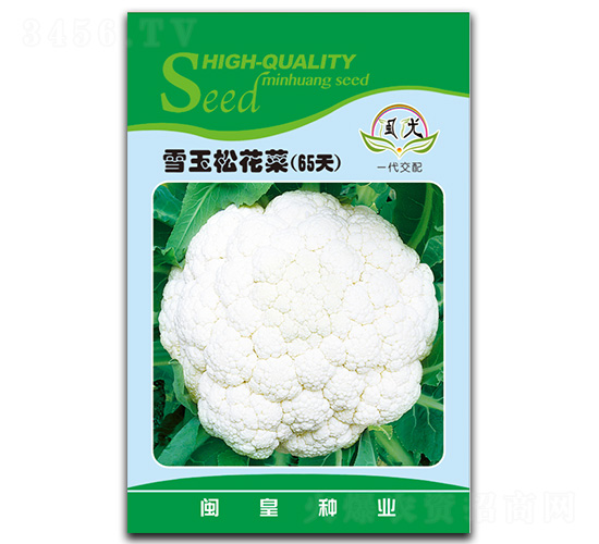 ѩ���ɻ���65��-�ɻ�������-������ҵ
