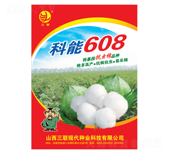 ����608-�޻�����-����