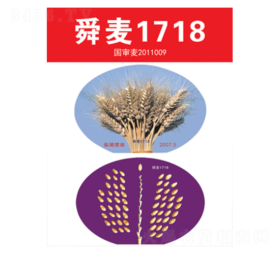 ˴��1718-С������-����
