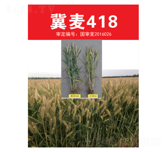 ����418-С������-����