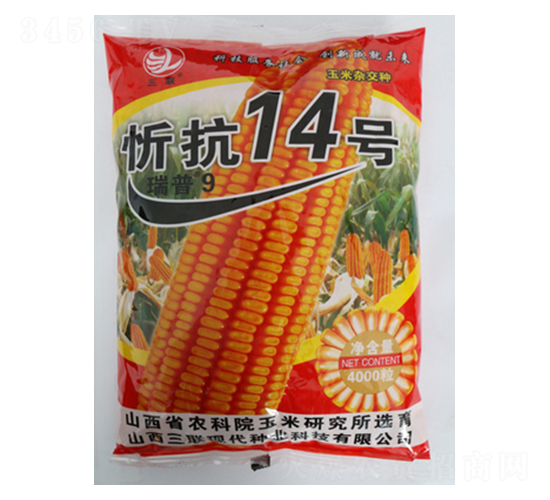 �ÿ�14��-��������-����