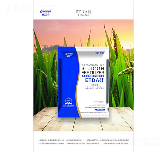 ETDA��-һ����