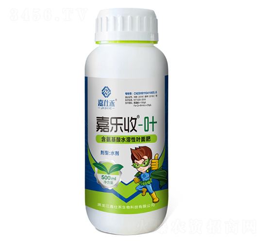 500ml��������ˮ����Ҷ���-������-���˺�